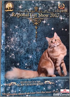 Show Catalog